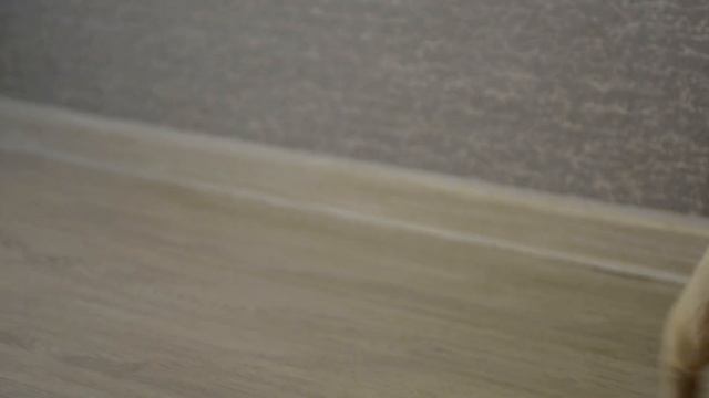 минибуль малыш.Мальчик ждёт родителей. смотреть онлайн