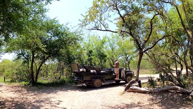 Leaving the Game Reserve in a Kodiak Aircraft смотреть онлайн