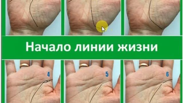 О чём расскажет начало линии Жизни? смотреть онлайн