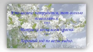 Пословицы и поговорки о ВЕСНЕ для школьников