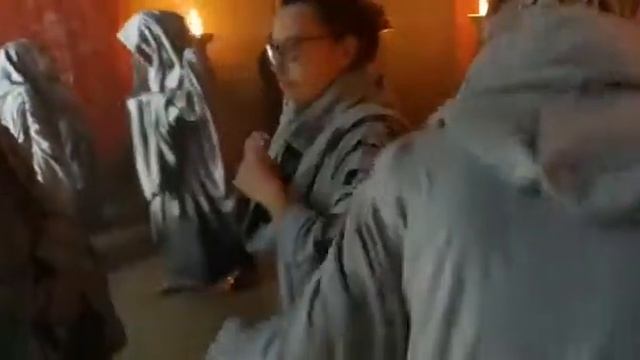 Танец сиктанта перед самкой сиктанткой смотреть онлайн