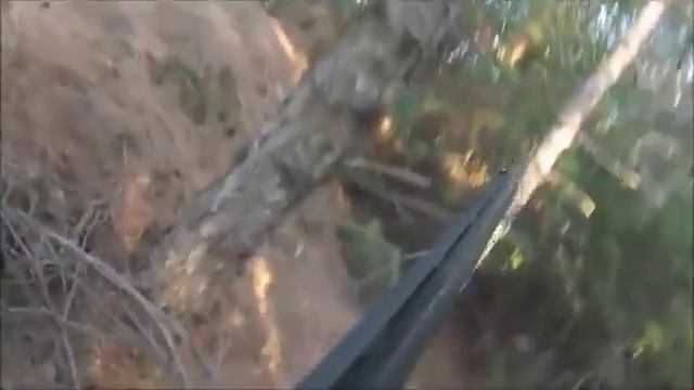 τουφεκιές σε λαγο!!!! смотреть онлайн