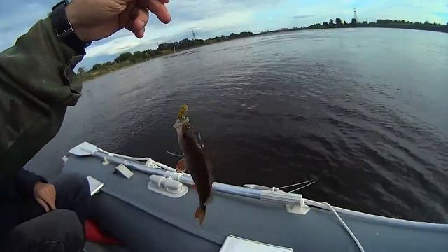 Ловим окуня на джиг 30.07.2015