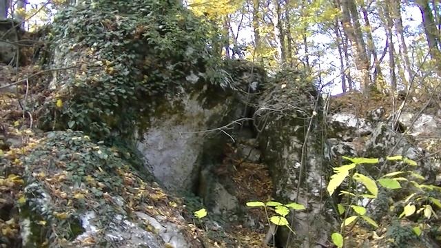 Крым Ялта Осенний лес над Ореандой. Crimea Yalta Autumn forest over Oreanda смотреть онлайн