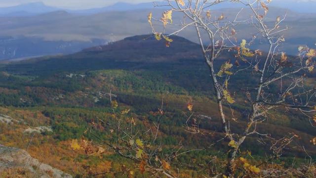 Пеший однодневный поход "Алимовые тропы" смотреть онлайн