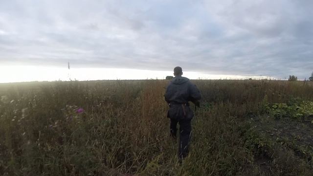 GOPR0374.MP4 смотреть онлайн