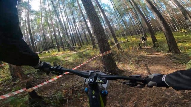 Борьба Электрички с Велоспортсменом Всероссийского масштаба) смотреть онлайн