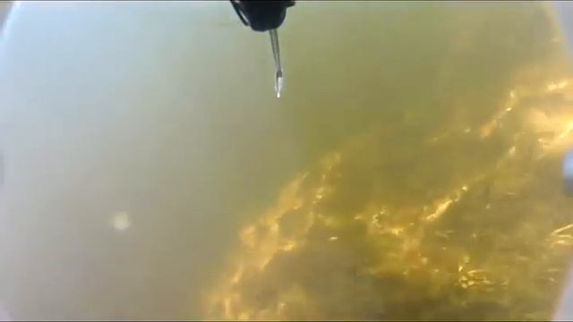 подводная охота на сазана 2...2012.GOPRO2 смотреть онлайн