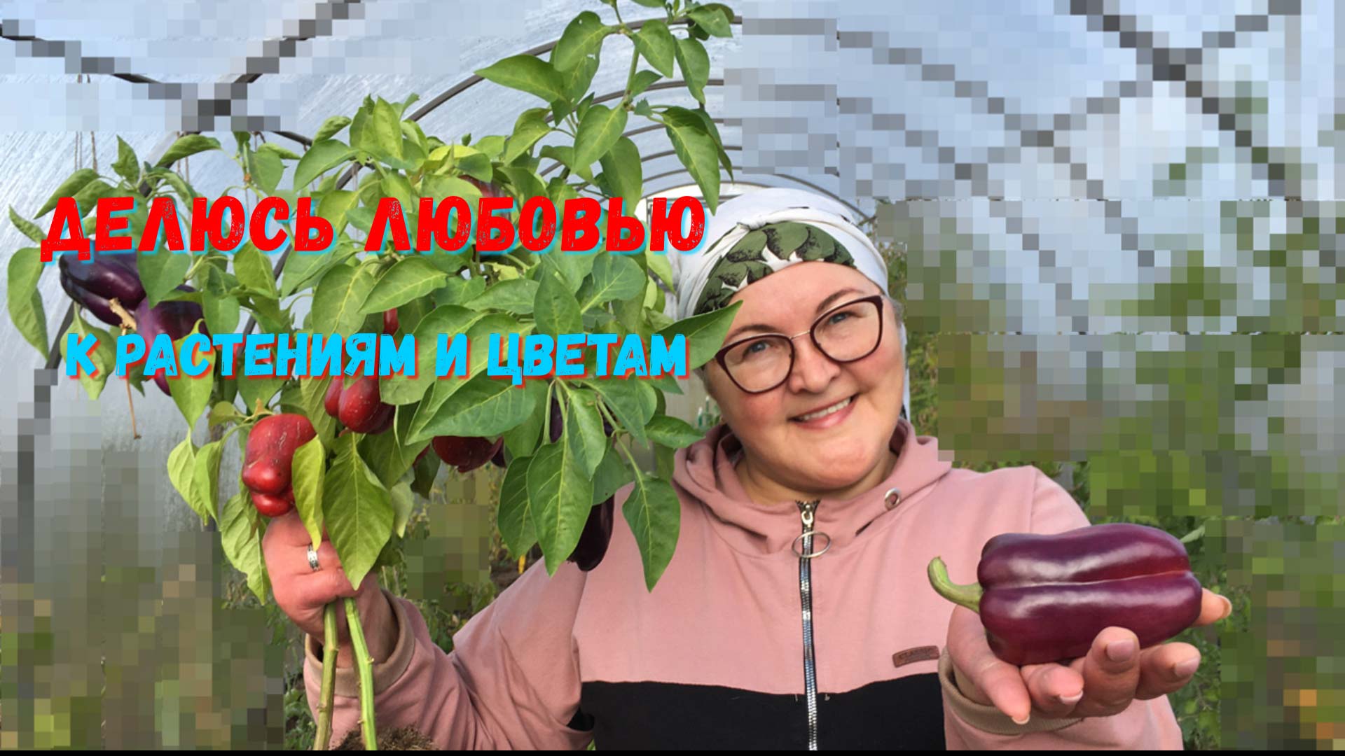 Делюсь любовью к растениям и цветам: об авторе канала Сибирский сад смотреть онлайн