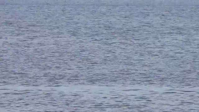 Летняя и зимняя рыбалка в г.Юрьевец смотреть онлайн