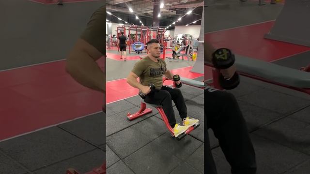 Отведения с гантелями сидя смотреть онлайн