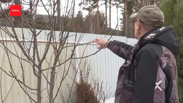 УРА! Весна на даче. Что и как после зимы смотреть онлайн