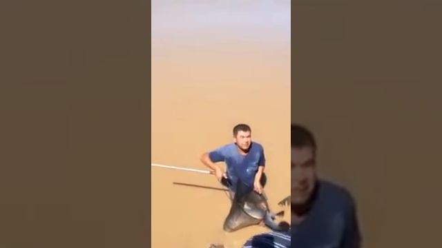 Амударья смотреть онлайн