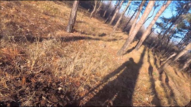 Второй коп в этом году СОВЕТУЕМ ЕГО ПОСМОТРЕТЬ))) смотреть онлайн