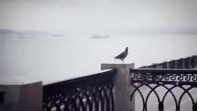 Фолк-группа "Кумовья"-"Ах ночь, голубая ночь" смотреть онлайн