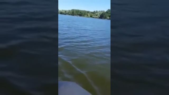 МОТОР ЛОДОЧНЫЙ МЕРКУРИЙ 9.9 ЛАЙТ+ПВХ ТАЙМЕНЬ NX 3600 НДНД.2 ЭТАП ОБКАТКИ НА ВОДЕ... смотреть онлайн