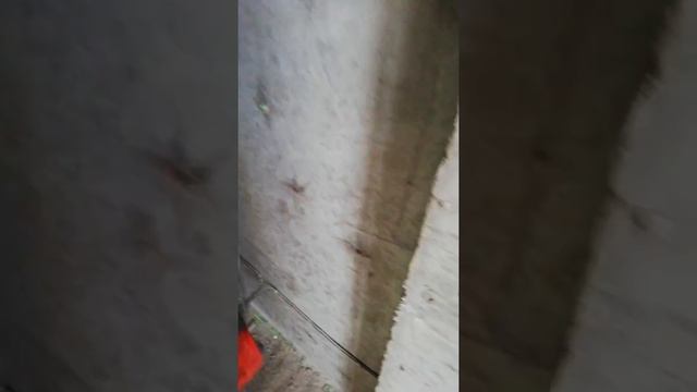 СТРУННЫЕ МАЯКИ САМЫЙ БЫСТРЫЙ СПОСОБ смотреть онлайн