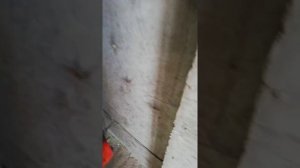 СТРУННЫЕ МАЯКИ САМЫЙ БЫСТРЫЙ СПОСОБ
