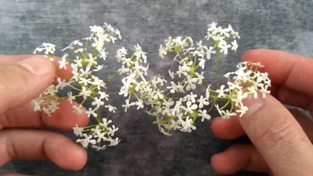 Холодный фарфор. Красивый сорняк. Cold porcelain. Beautiful weed. смотреть онлайн