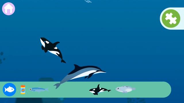 MarcoPolo Ocean - Gameplay Trailer