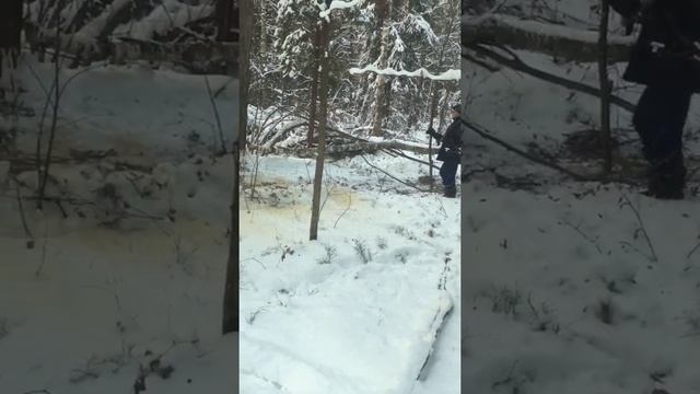 газ 66 лебедка вещь полезная вытаскиваем бревно из чащи леса смотреть онлайн