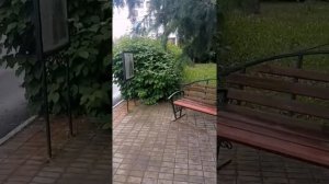 Насадка кусторез на триммер 26 мм. 9 шлицов