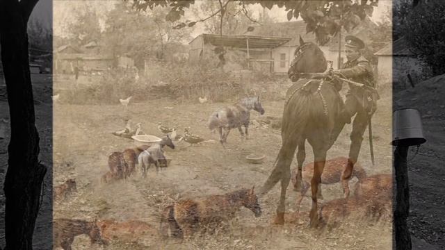 Chant cosaque - Служба ли матушка смотреть онлайн