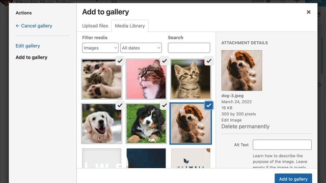 How to Add FILTERABLE PHOTO GALLERY to WordPress (Beaver Builder Image Gallery Tutorial) смотреть онлайн