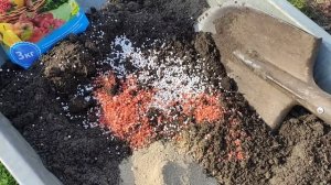 ПОСАДКА РОЗ ВЕСНОЙ .???САМЫЙ НАДЕЖНЫЙ СПОСОБ ПОСАДКИ