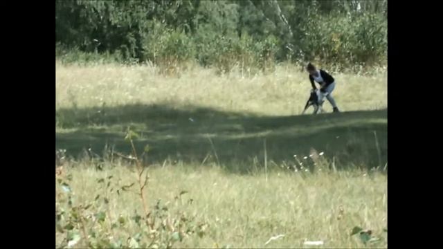 Чинор 1,5 года смотреть онлайн