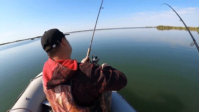 Судак на спиннинг ! Рыбалка на Веселовском водохранилище. смотреть онлайн