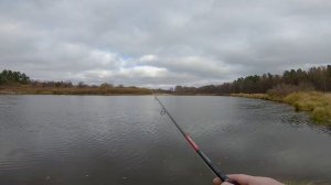 Champion Rods Team Dubna Generation 2 сравнение чувствительности спиннингов с тестом 5-21g  и  7-28