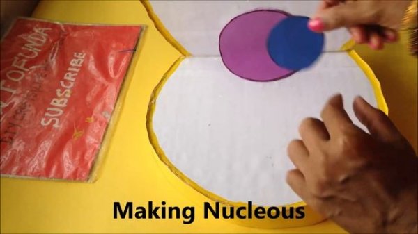 Animal Cell Model (3D) model making using cardboard and paper | howtofunda  | still model