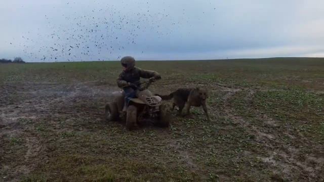 Квадрик 110 грязь 2018 смотреть онлайн