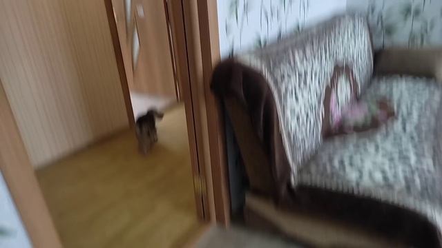 Изготовление двери своими руками. Реставрирует старую дверь. смотреть онлайн