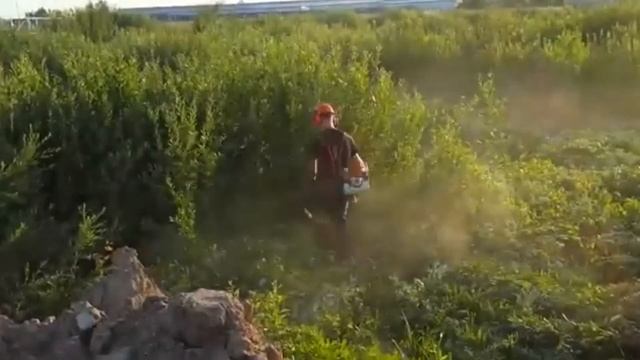 STIHL FS 560 C-EM смотреть онлайн