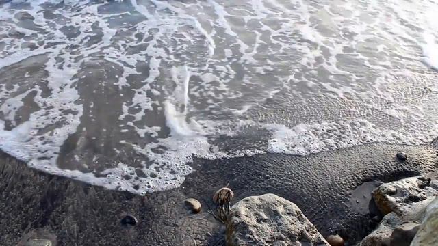 Видео фон, футаж, заставка, берег моря. смотреть онлайн