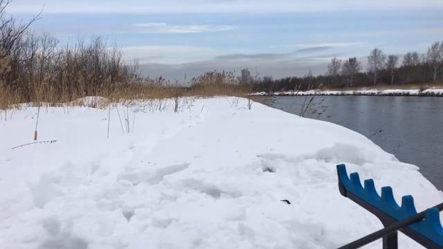 Стрим! Первая Весенняя рыбалка на фидер и поплавок 🎣 смотреть онлайн