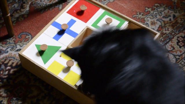 Border Collie SOLVES puzzle! смотреть онлайн