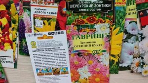 Такие разные цветы