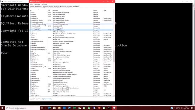 Oracle sys password recovery reset şifre kurtarma sıfırlama смотреть онлайн