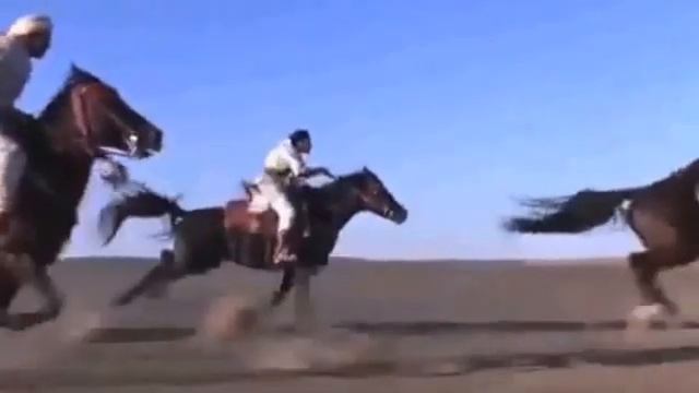Арабские скакуны смотреть онлайн