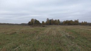 Находки с фундамента старого дома Калужской губернии. Коп по старине с металлодетектором..