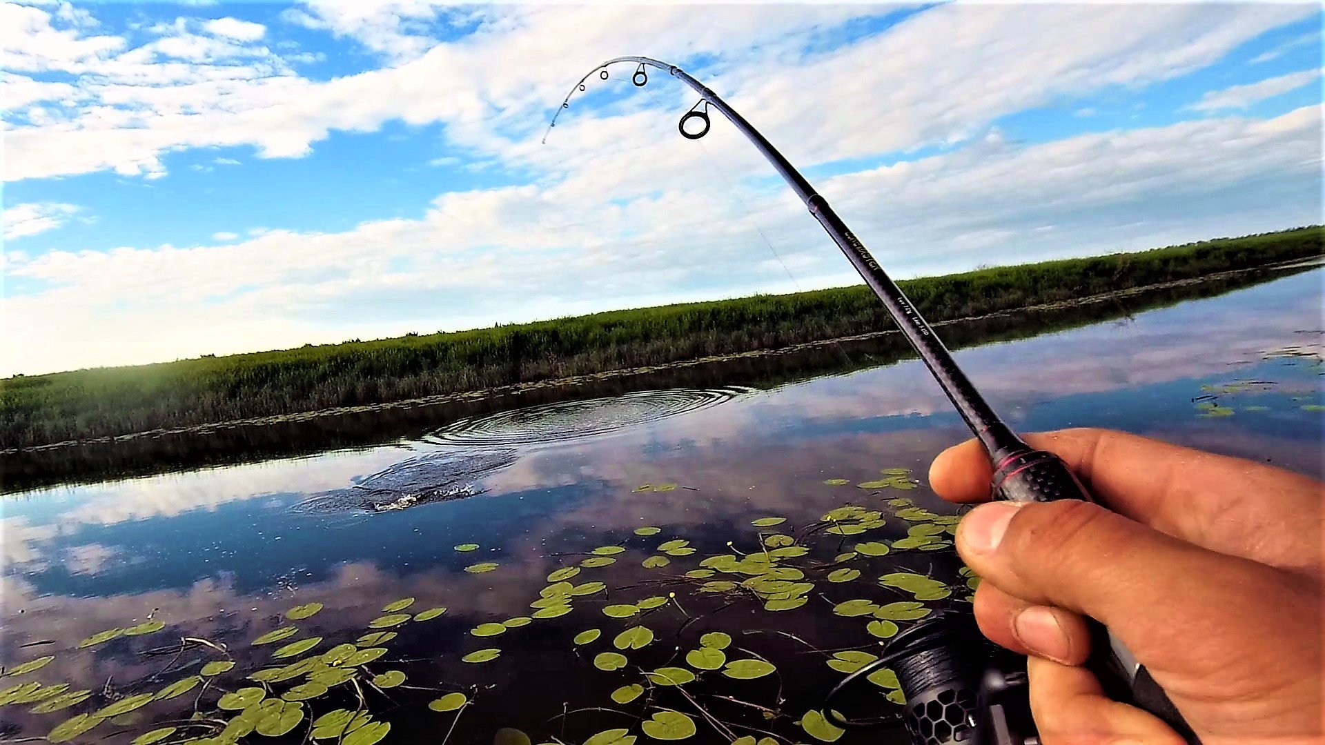 ЩУКА ДУРЕЕТ ОТ ПОВЕРХНОСТНОЙ ПРИМАНКИ рыбалка на спиннинг, твичинг воблеров смотреть онлайн