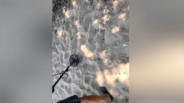 На прогулке с лабрадором, проверяем сигналы металлоискателя на берегу Волги, в поисках клада смотреть онлайн