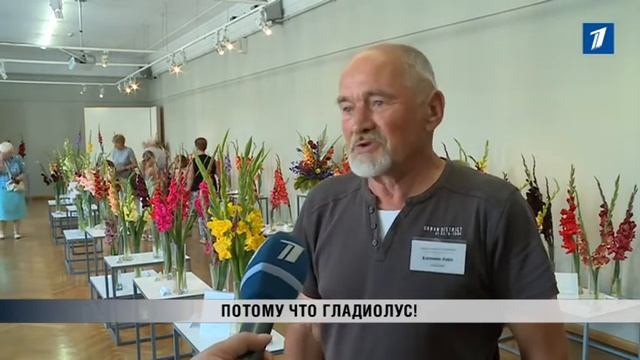 ПБК: Потому что Гладиолус!