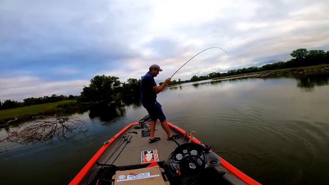 Lake Elmer is BACK!!!!!!! Fall big bass bite FunkEeeEee style!!!!!! смотреть онлайн