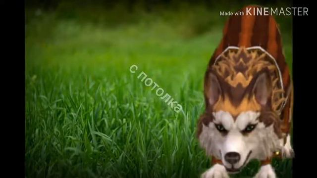 Первое видео:) клип девочка с коре смотреть онлайн