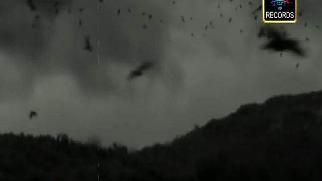 Виктор Финаев ПОЛОСА смотреть онлайн
