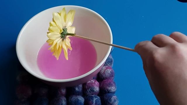 Как сохранить живые цветы /Букет из цветов смотреть онлайн